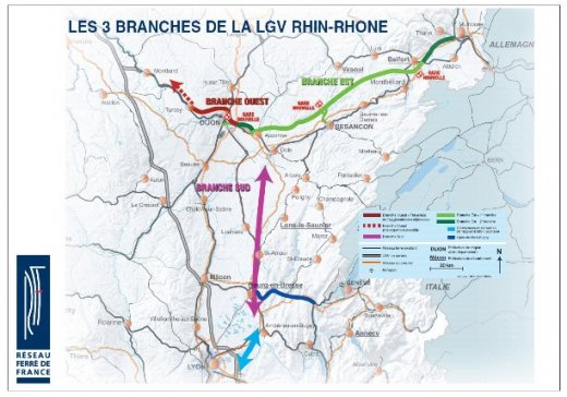 L'arbre du TGV dans la jungle du beau pays de Sarkozie